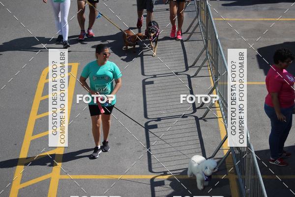 Buy your photos of the event2 Pet Run Shopping Eldorado  on Fotop