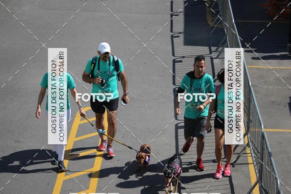 Buy your photos of the event2 Pet Run Shopping Eldorado  on Fotop