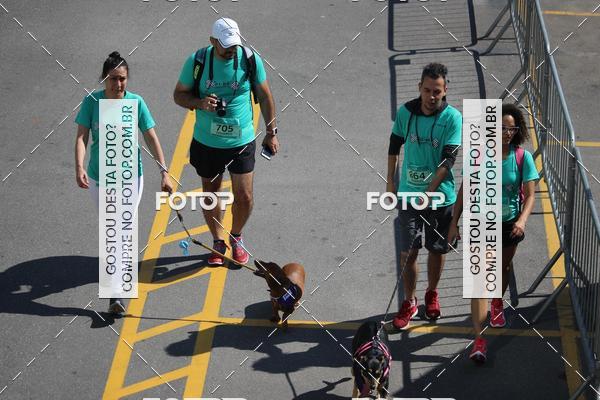 Buy your photos of the event2 Pet Run Shopping Eldorado  on Fotop