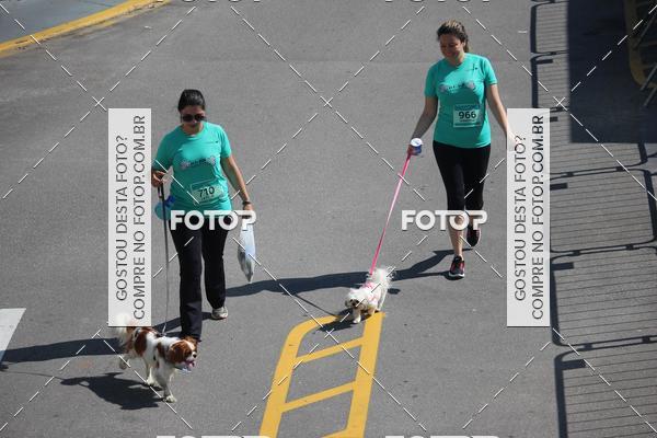 Buy your photos of the event2 Pet Run Shopping Eldorado  on Fotop