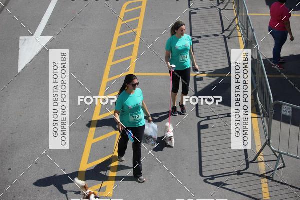 Buy your photos of the event2 Pet Run Shopping Eldorado  on Fotop