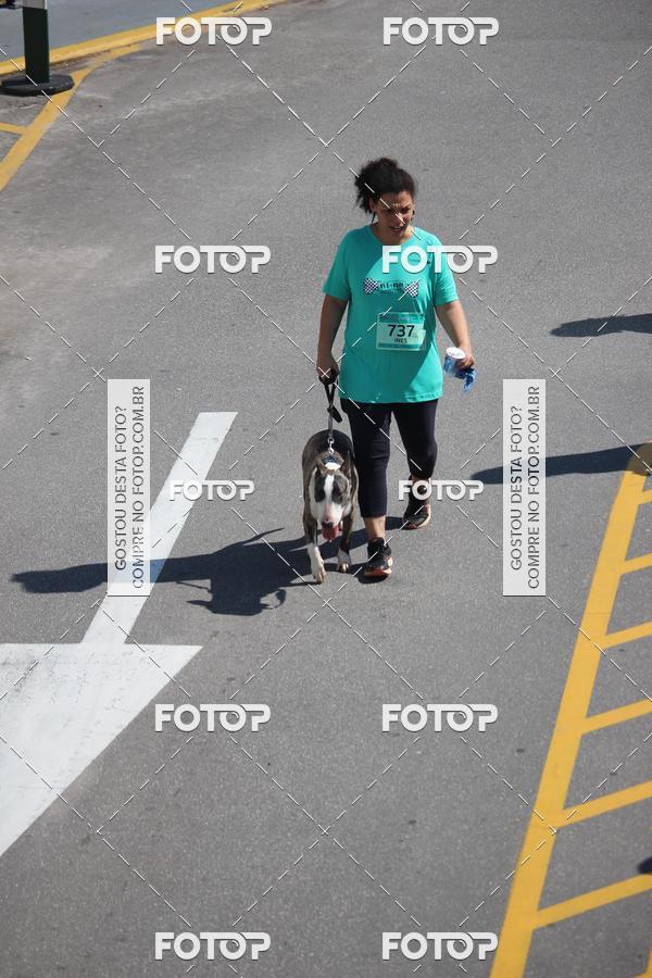 Buy your photos of the event2 Pet Run Shopping Eldorado  on Fotop