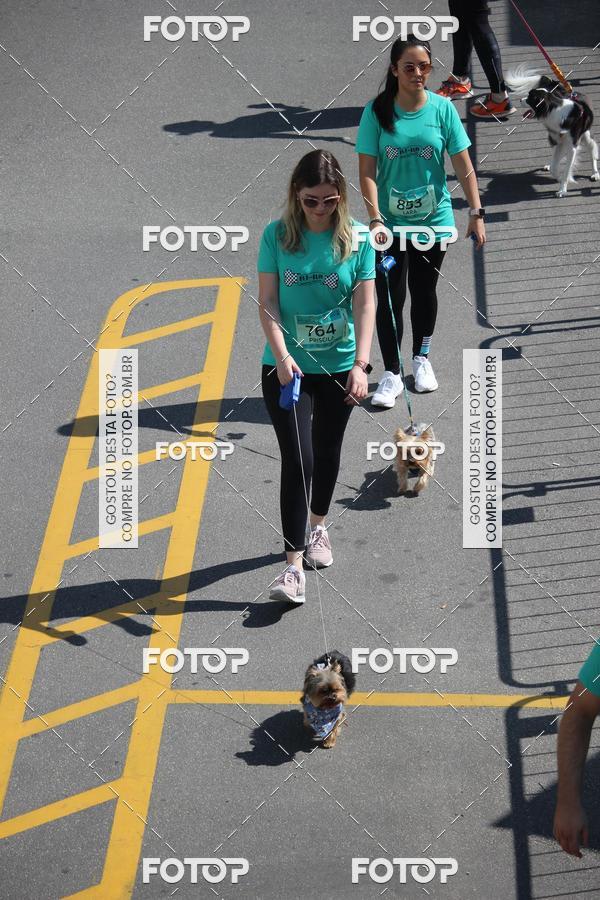 Buy your photos of the event2 Pet Run Shopping Eldorado  on Fotop