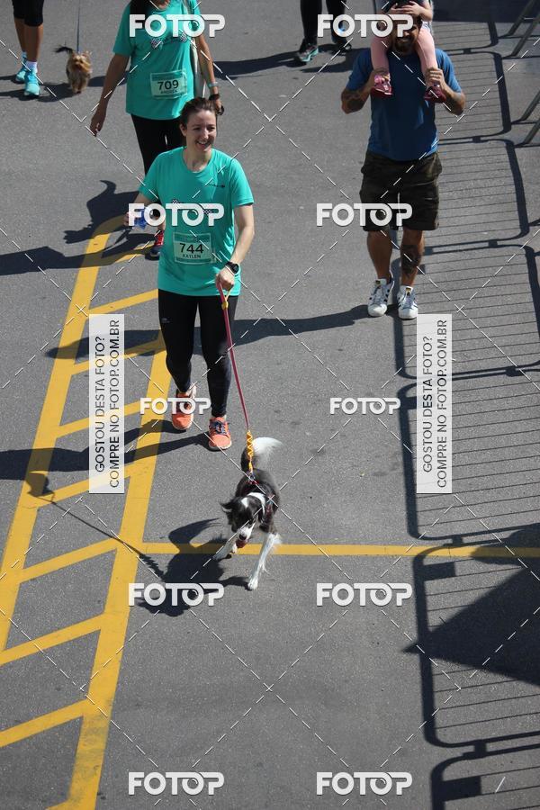 Buy your photos of the event2 Pet Run Shopping Eldorado  on Fotop