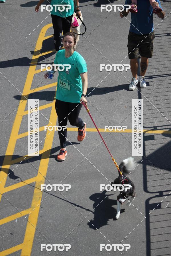 Buy your photos of the event2 Pet Run Shopping Eldorado  on Fotop