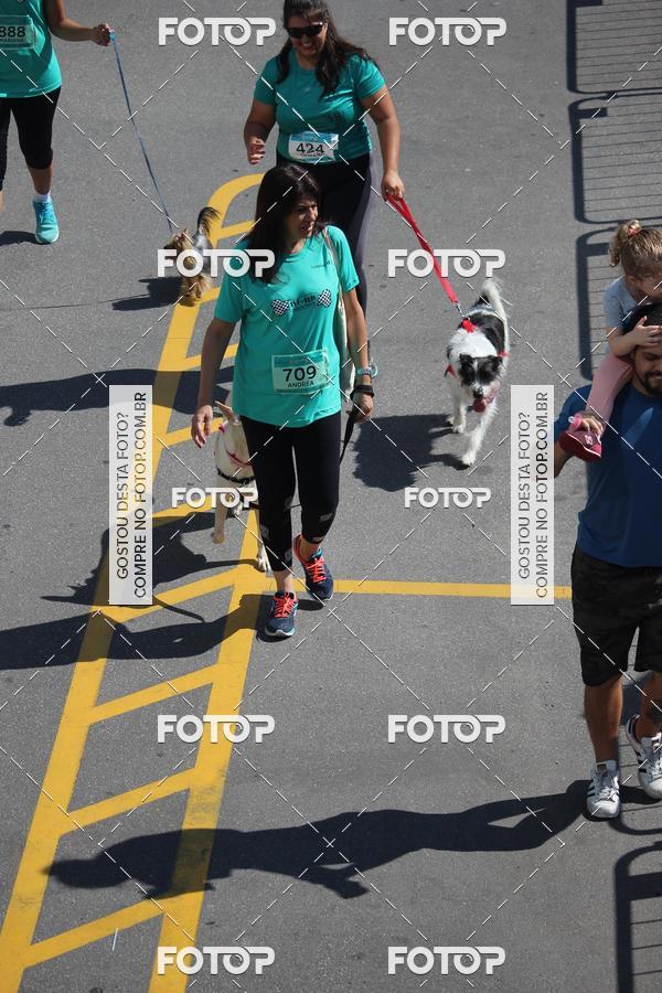 Buy your photos of the event2 Pet Run Shopping Eldorado  on Fotop