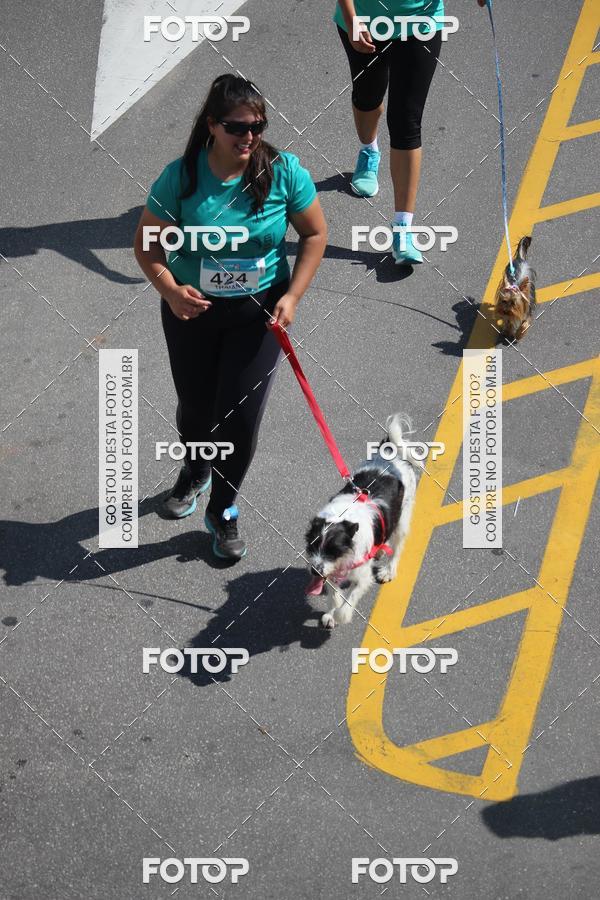 Buy your photos of the event2 Pet Run Shopping Eldorado  on Fotop