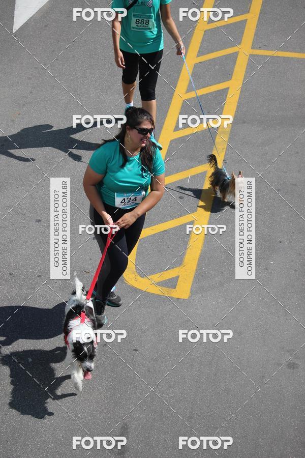 Buy your photos of the event2 Pet Run Shopping Eldorado  on Fotop