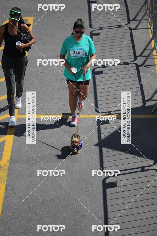 Buy your photos of the event2 Pet Run Shopping Eldorado  on Fotop