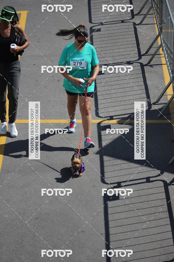 Buy your photos of the event2 Pet Run Shopping Eldorado  on Fotop