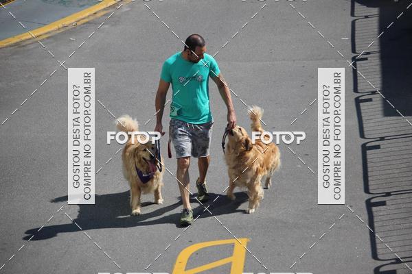 Buy your photos of the event2 Pet Run Shopping Eldorado  on Fotop