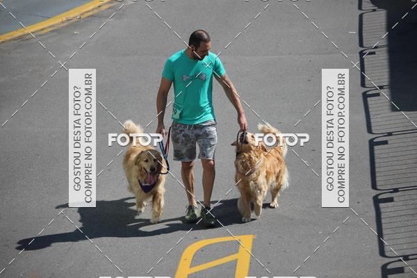 Buy your photos of the event2 Pet Run Shopping Eldorado  on Fotop