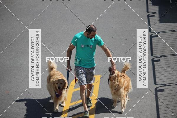 Buy your photos of the event2 Pet Run Shopping Eldorado  on Fotop