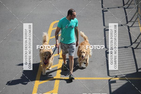 Buy your photos of the event2 Pet Run Shopping Eldorado  on Fotop