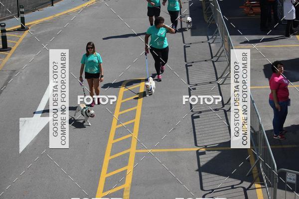 Buy your photos of the event2 Pet Run Shopping Eldorado  on Fotop
