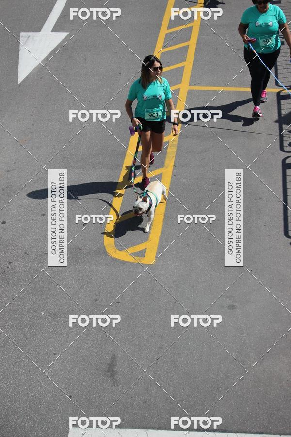 Buy your photos of the event2 Pet Run Shopping Eldorado  on Fotop