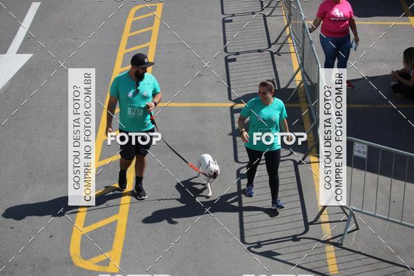 Buy your photos of the event2 Pet Run Shopping Eldorado  on Fotop