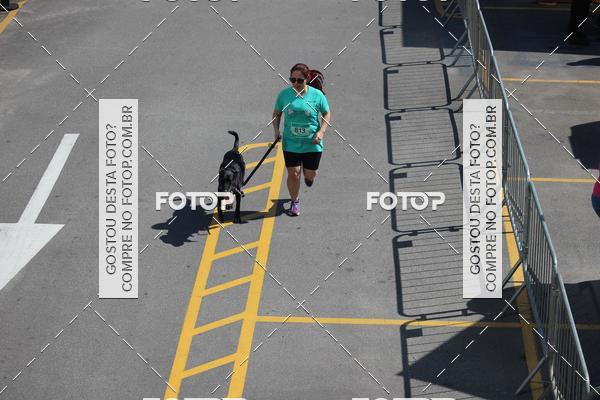 Buy your photos of the event2 Pet Run Shopping Eldorado  on Fotop