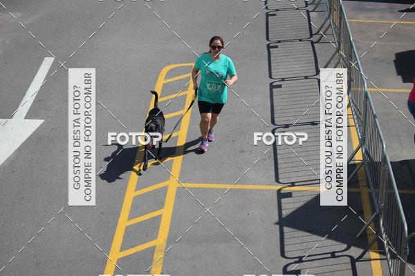 Buy your photos of the event2 Pet Run Shopping Eldorado  on Fotop