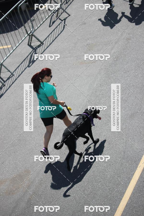 Buy your photos of the event2 Pet Run Shopping Eldorado  on Fotop
