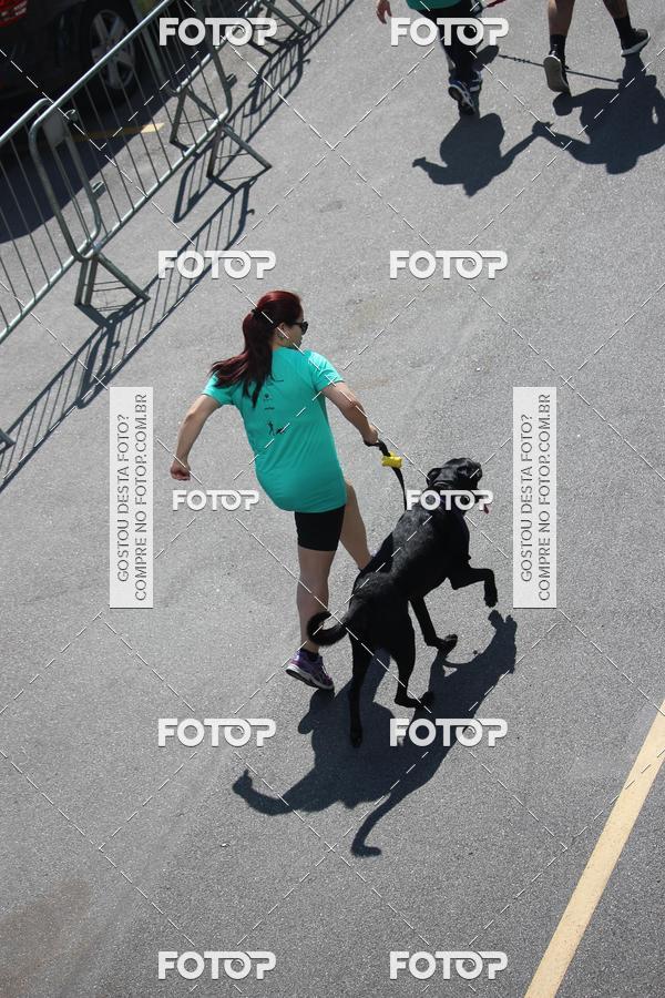 Buy your photos of the event2 Pet Run Shopping Eldorado  on Fotop