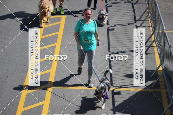 Buy your photos of the event2 Pet Run Shopping Eldorado  on Fotop
