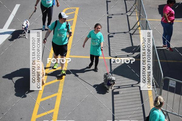 Buy your photos of the event2 Pet Run Shopping Eldorado  on Fotop