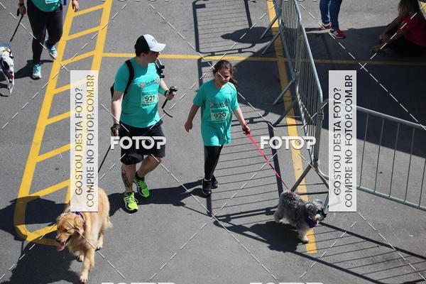 Buy your photos of the event2 Pet Run Shopping Eldorado  on Fotop