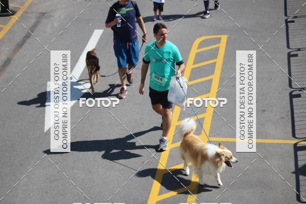 Buy your photos of the event2 Pet Run Shopping Eldorado  on Fotop