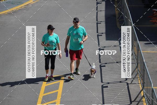 Buy your photos of the event2 Pet Run Shopping Eldorado  on Fotop