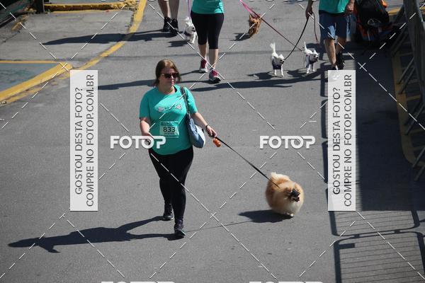Buy your photos of the event2 Pet Run Shopping Eldorado  on Fotop