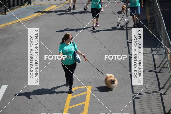 Buy your photos of the event2 Pet Run Shopping Eldorado  on Fotop