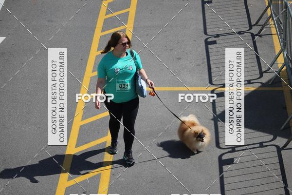 Buy your photos of the event2 Pet Run Shopping Eldorado  on Fotop