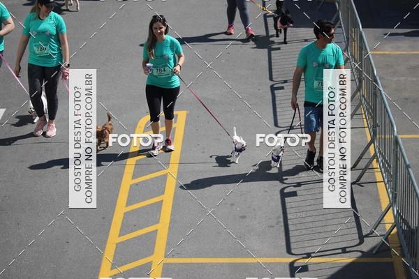Buy your photos of the event2 Pet Run Shopping Eldorado  on Fotop