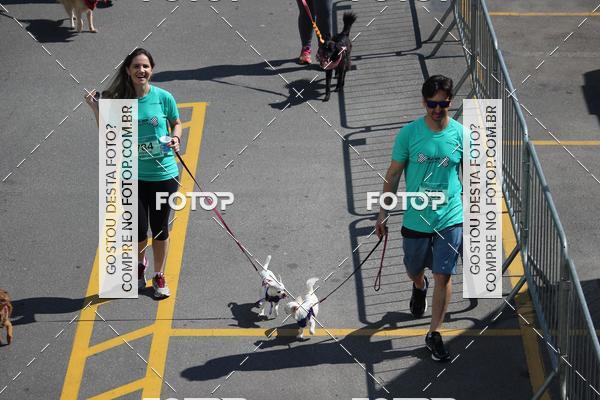 Buy your photos of the event2 Pet Run Shopping Eldorado  on Fotop