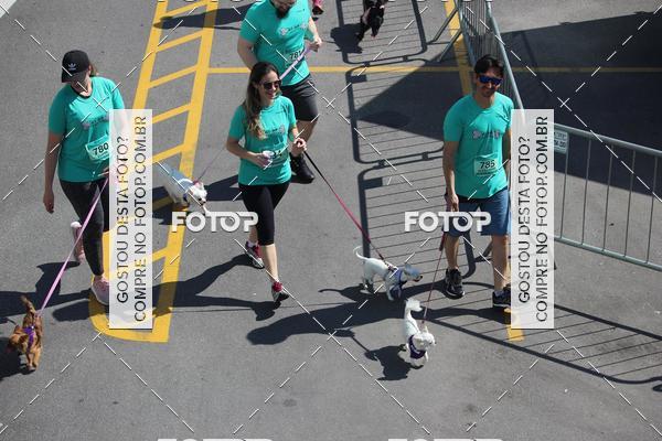 Buy your photos of the event2 Pet Run Shopping Eldorado  on Fotop
