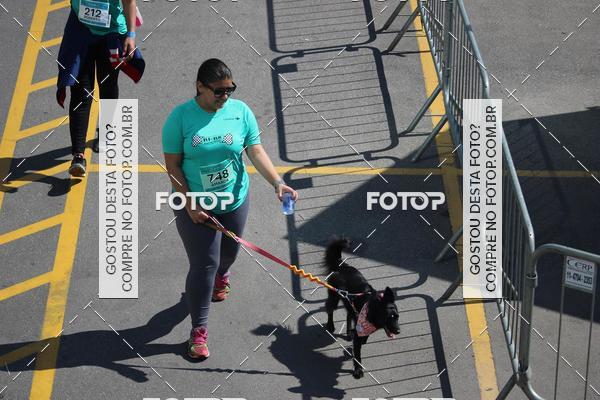 Buy your photos of the event2 Pet Run Shopping Eldorado  on Fotop