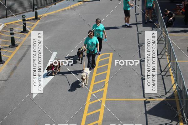 Buy your photos of the event2 Pet Run Shopping Eldorado  on Fotop