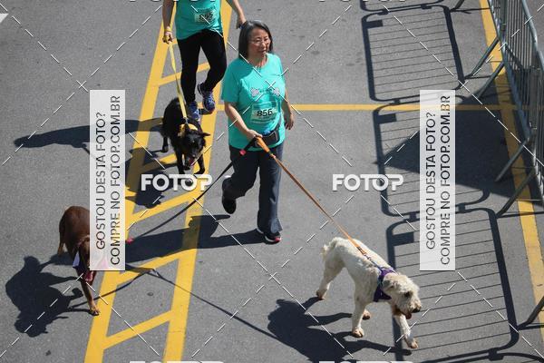 Buy your photos of the event2 Pet Run Shopping Eldorado  on Fotop