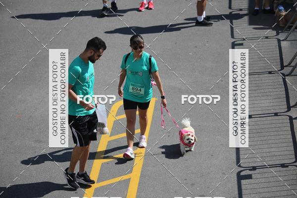 Buy your photos of the event2 Pet Run Shopping Eldorado  on Fotop