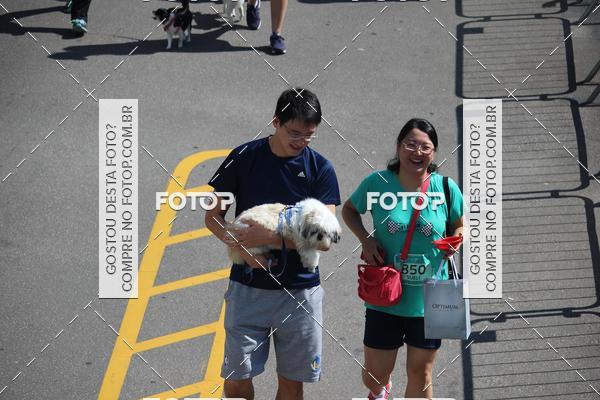 Buy your photos of the event2 Pet Run Shopping Eldorado  on Fotop