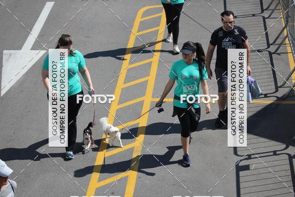 Buy your photos of the event2 Pet Run Shopping Eldorado  on Fotop