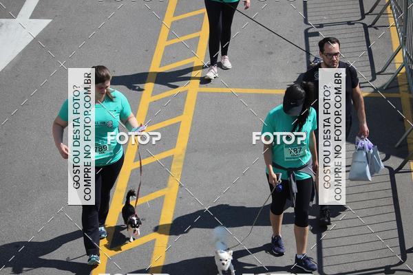 Buy your photos of the event2 Pet Run Shopping Eldorado  on Fotop