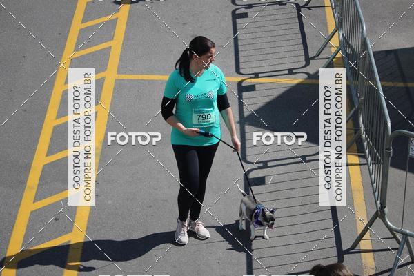 Buy your photos of the event2 Pet Run Shopping Eldorado  on Fotop