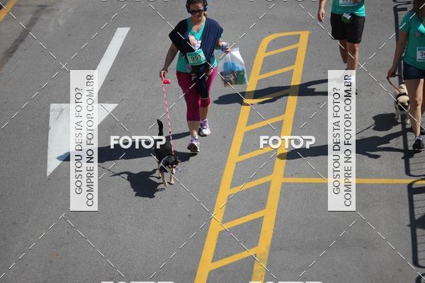 Buy your photos of the event2 Pet Run Shopping Eldorado  on Fotop