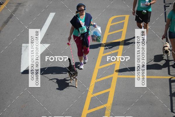 Buy your photos of the event2 Pet Run Shopping Eldorado  on Fotop