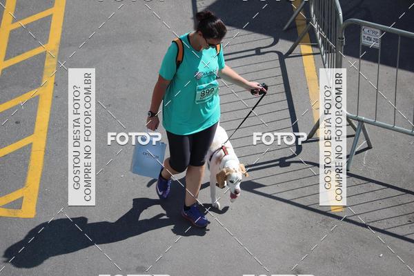 Buy your photos of the event2 Pet Run Shopping Eldorado  on Fotop