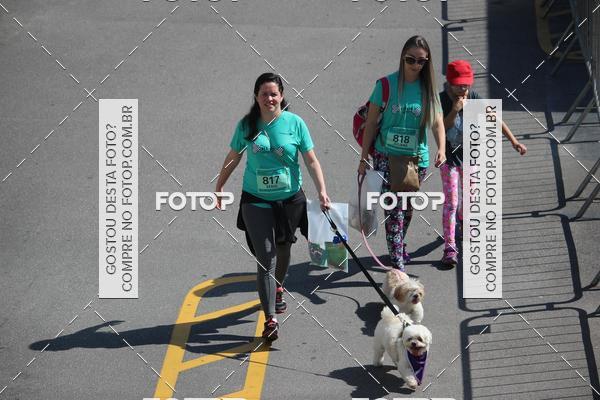 Buy your photos of the event2 Pet Run Shopping Eldorado  on Fotop