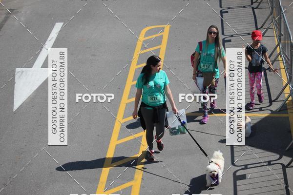 Buy your photos of the event2 Pet Run Shopping Eldorado  on Fotop