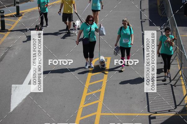 Buy your photos of the event2 Pet Run Shopping Eldorado  on Fotop